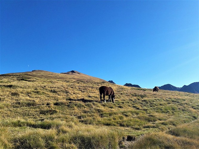 Entre le Pas de la Case et le Col de Puymorens