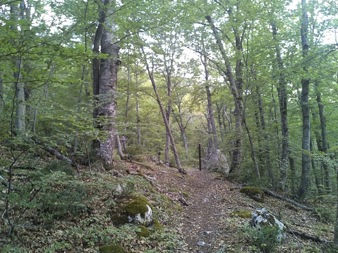 Chemin de Clot Roubaud