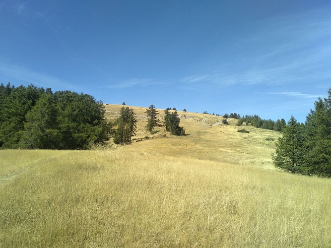 Le Puy de Rent depuis Annot