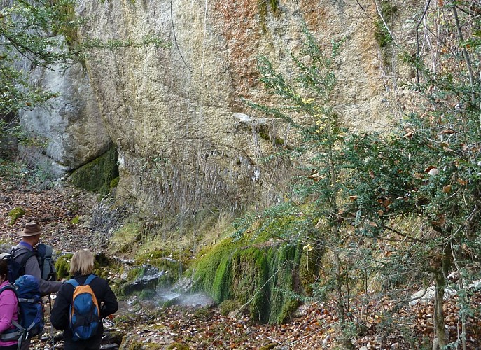 Sentier Le Fugeret Roncharel