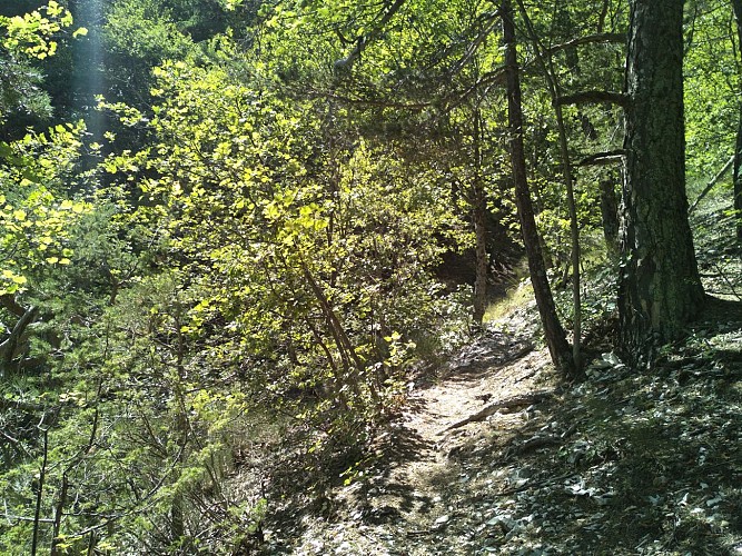 Annot-Le Fugeret par Roncharel