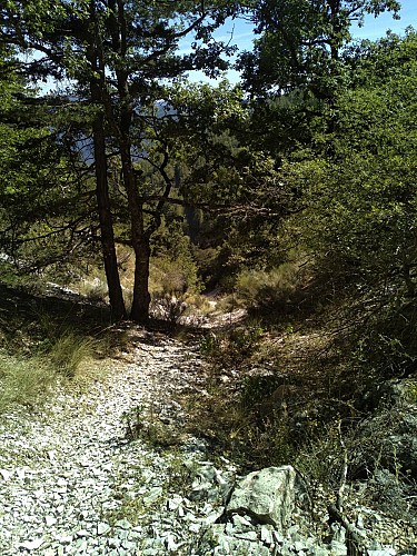 Annot-Le Fugeret par Roncharel