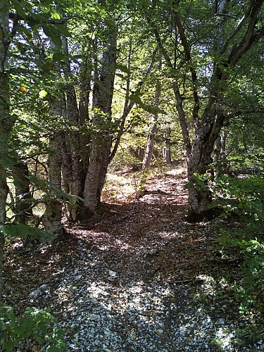 Annot-Le Fugeret par Roncharel