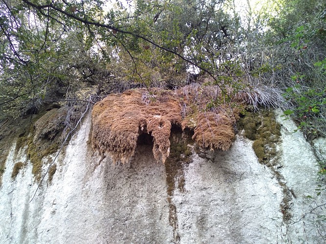 Annot-Le Fugeret par Roncharel