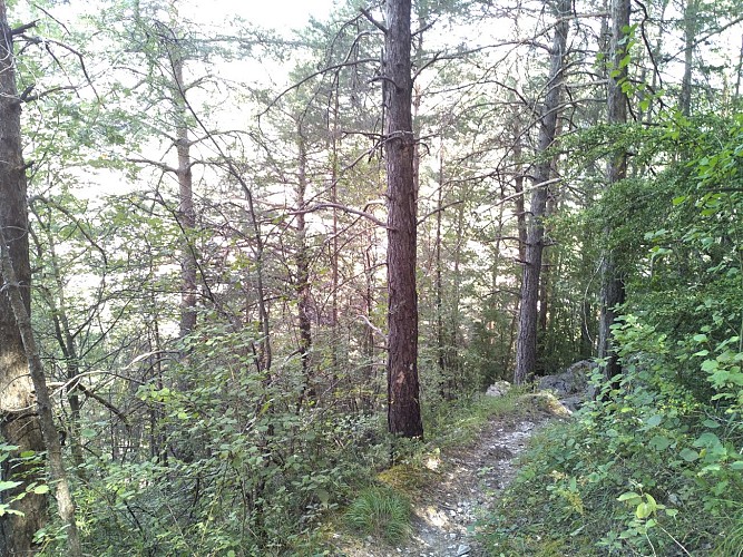 Annot-Le Fugeret par Roncharel