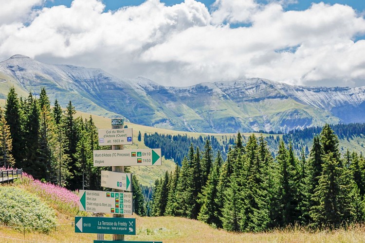 Parcours VAE n°69 _ Boucle des 4 communes - NOIR