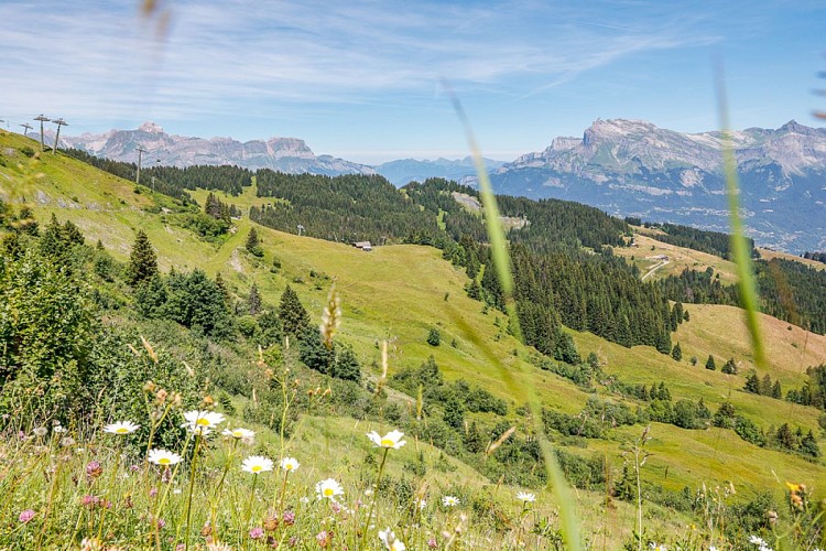 Parcours VAE n°69 _ Boucle des 4 communes - NOIR