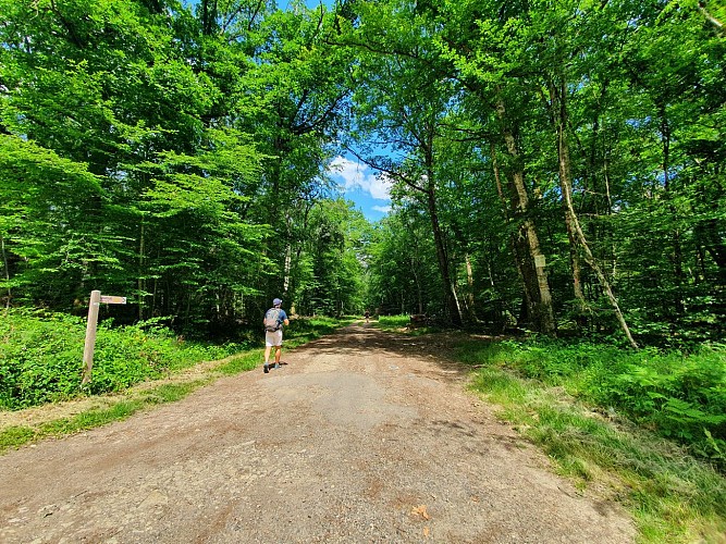 Randonnée à Verneuil - Boucle des Échards