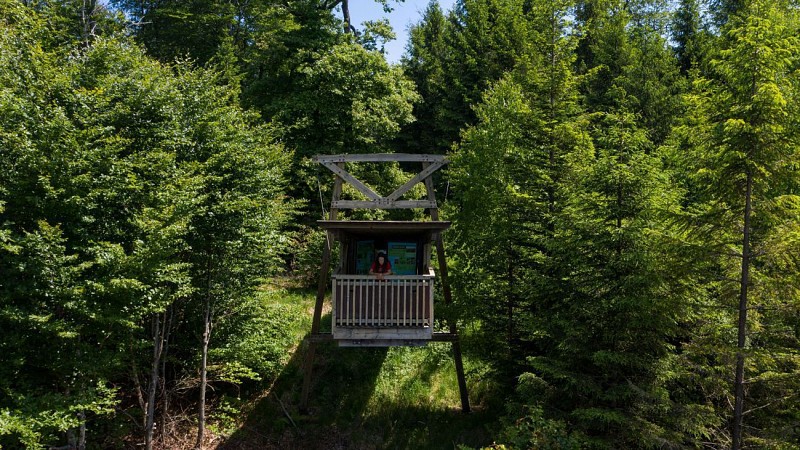 Circuit Nassogne - Promenade du Laid Trou