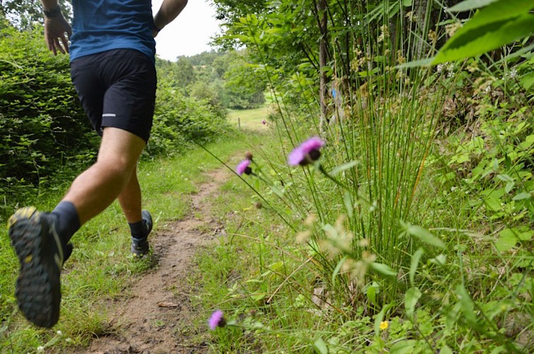 Trail Parcours des Pérusse n°2