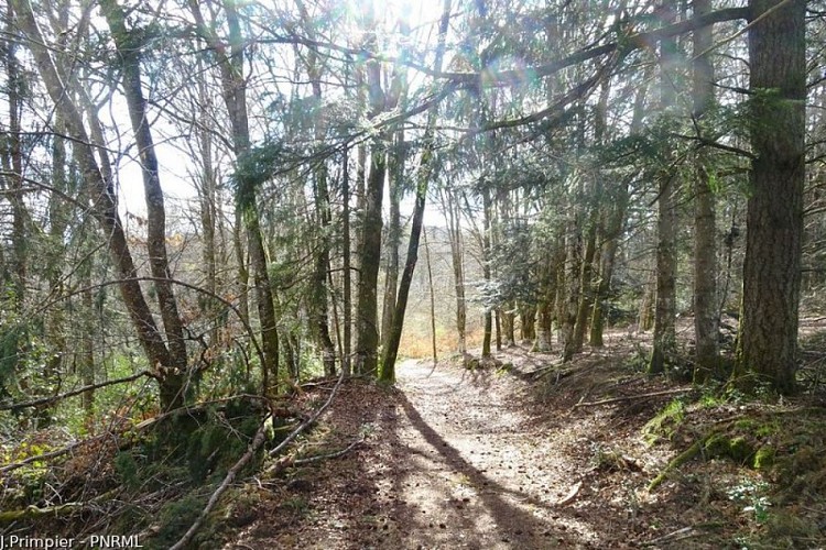 Beliefs and superstitions