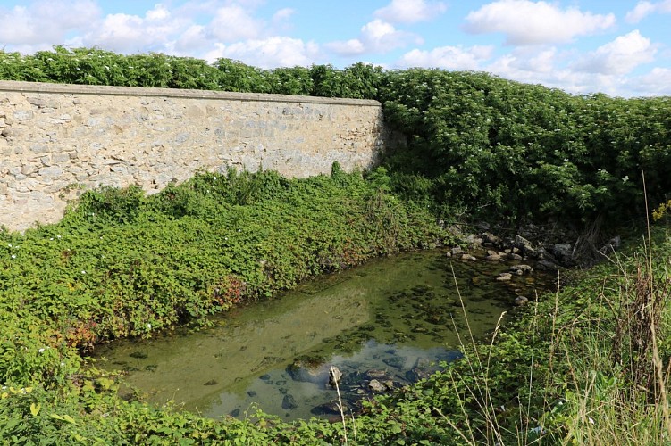 Spaziergang in Sivry-Courtry