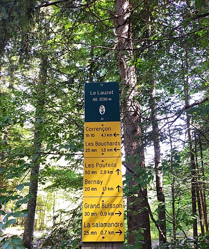 Balade au Lauzet_Villard-de-Lans