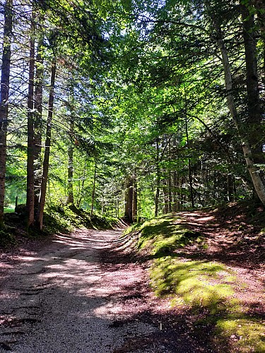 Balade au Lauzet_Villard-de-Lans