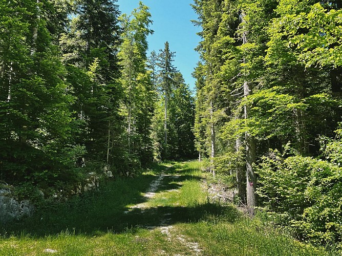 240613-41LaboucledeMalaterre-vert-2