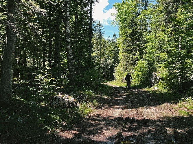 240613-41LaboucledeMalaterre-vert-3