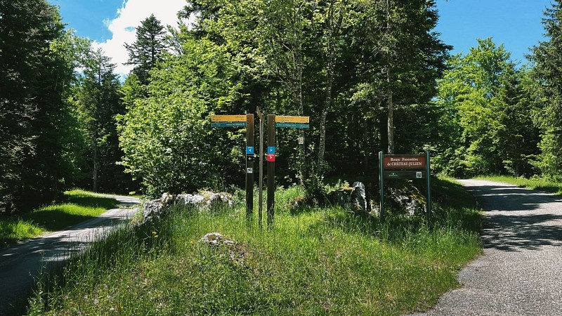 240613-41LaboucledeMalaterre-vert-4