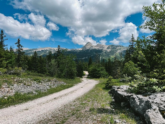 240613-41LaboucledeMalaterre-vert-6