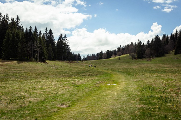 N°48 Le Sapin Bellier - boucle VTT