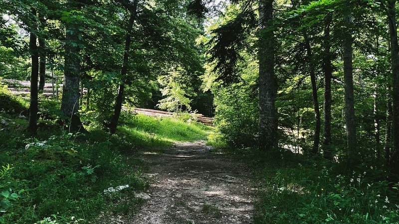 240618-46LaLoubièreexpress-bleu-6