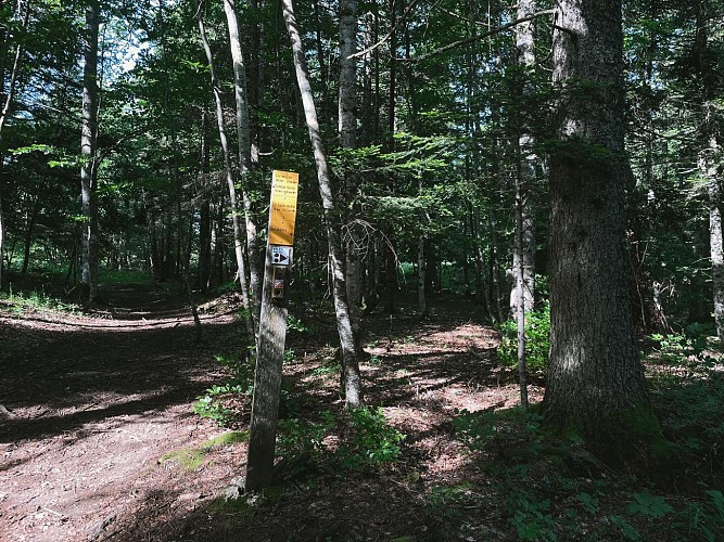 240618-46LaLoubièreexpress-bleu-7