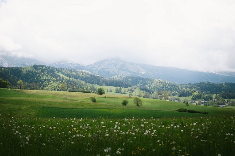 Le chemin des traces - bleu