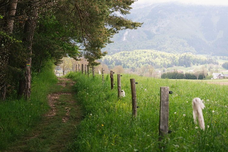 Le chemin des traces - bleu