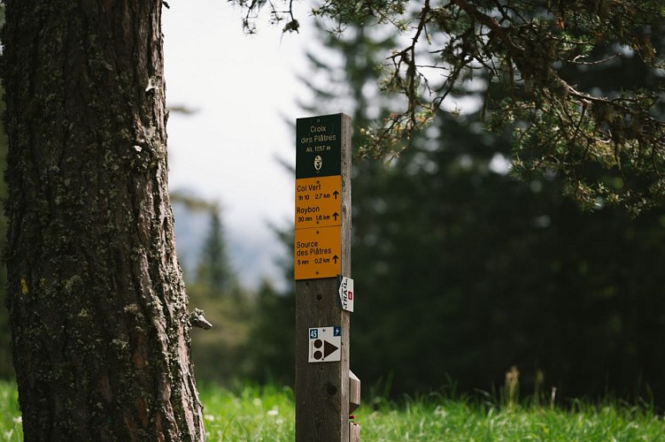 Le chemin des traces - bleu