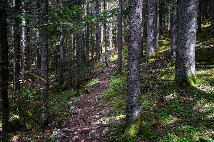 La Combe de Fer - Circuit VTT N°44 - Bleu