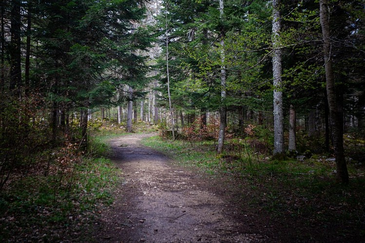 La Combe de Fer - Circuit VTT N°44 - Bleu
