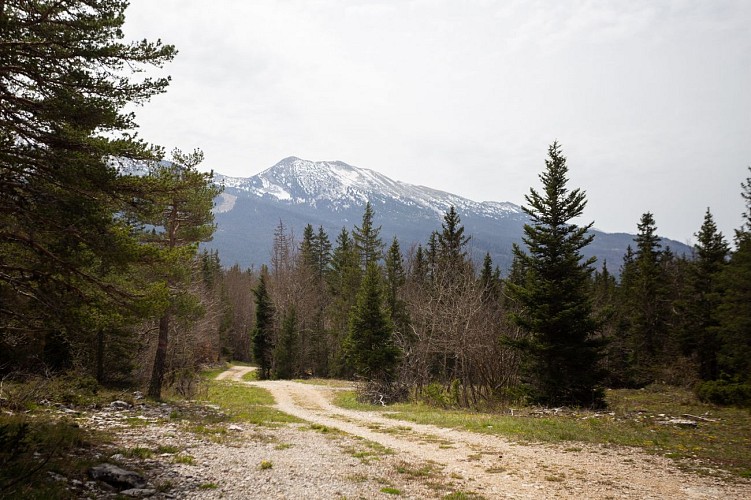 La Combe de Fer - Circuit VTT N°44 - Bleu