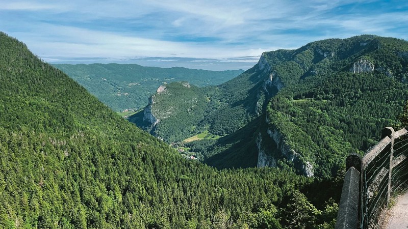 240617-49LaRoyale-rouge-2