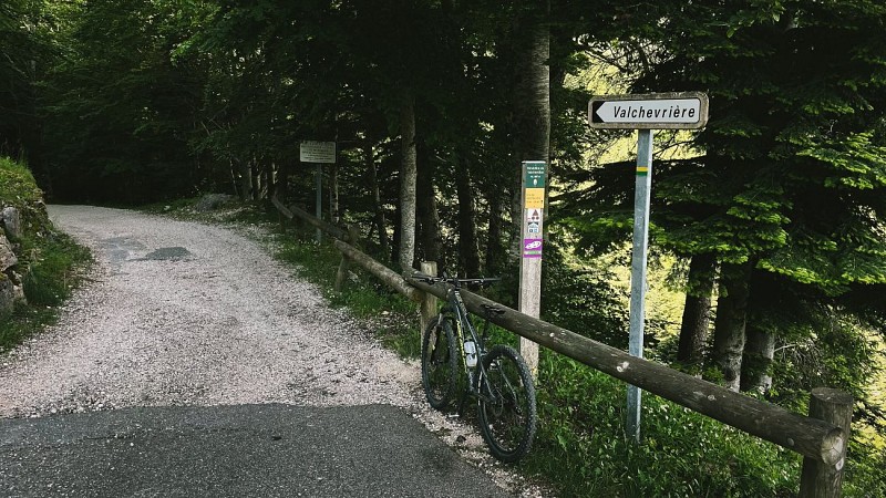 240617-49LaRoyale-rouge-3