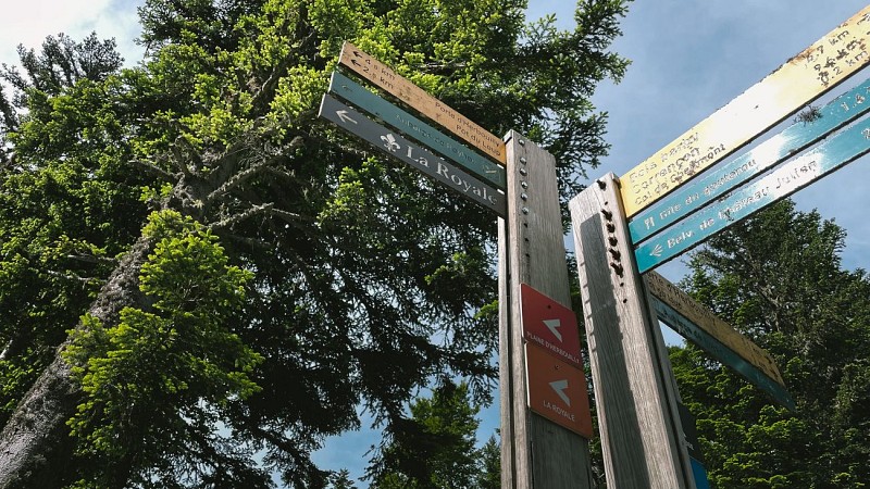 240617-49LaRoyale-rouge-4