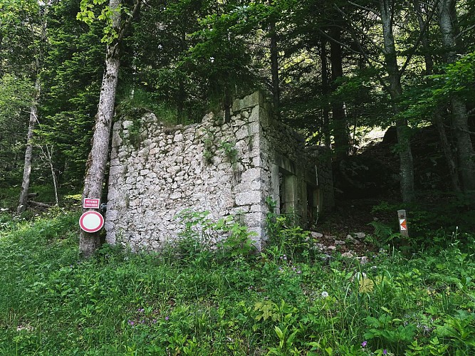 240617-49LaRoyale-rouge-6