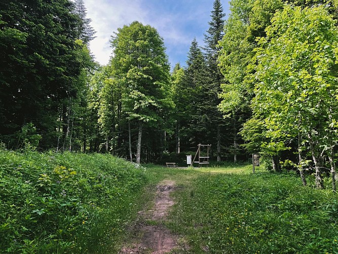 240617-49LaRoyale-rouge-7