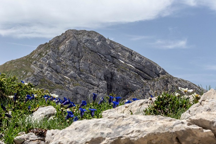 Vue sur la Moucherolle