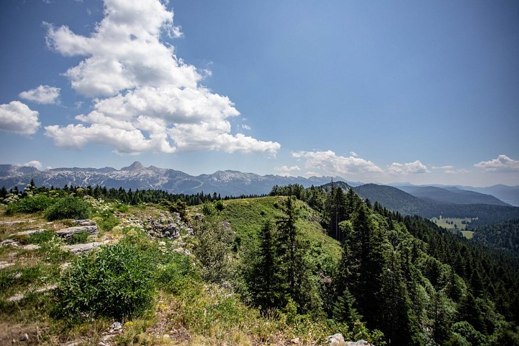 Belvédère de Château-Julien