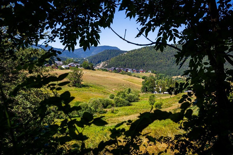 Payonère