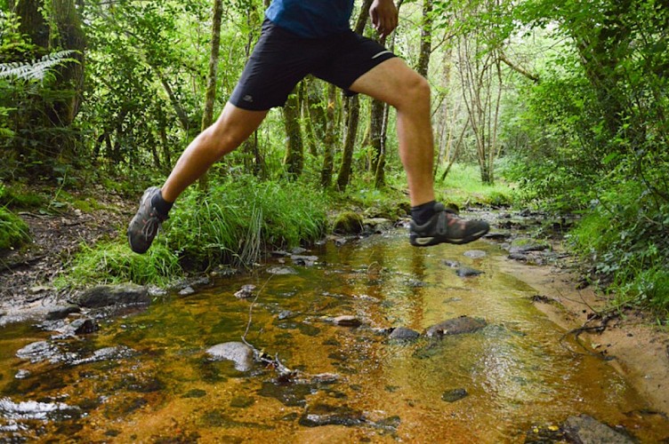 Trail@Office de Tourisme Pays de Nexon - Monts de Châlus (38)