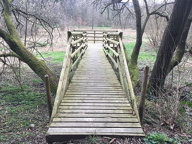 Zomerse fietsuitstappen - Van de waterval naar het circuit