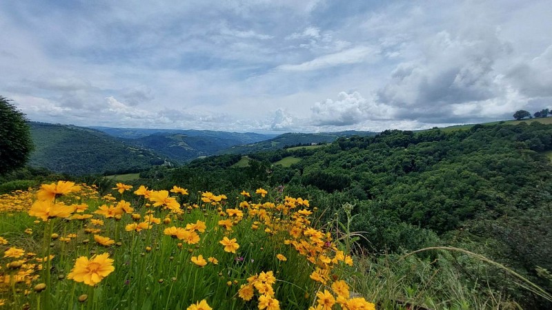 Mountain bike route - From Montsalvy to the Goul Valley