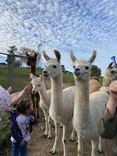 Ferme de Lamalpapoche