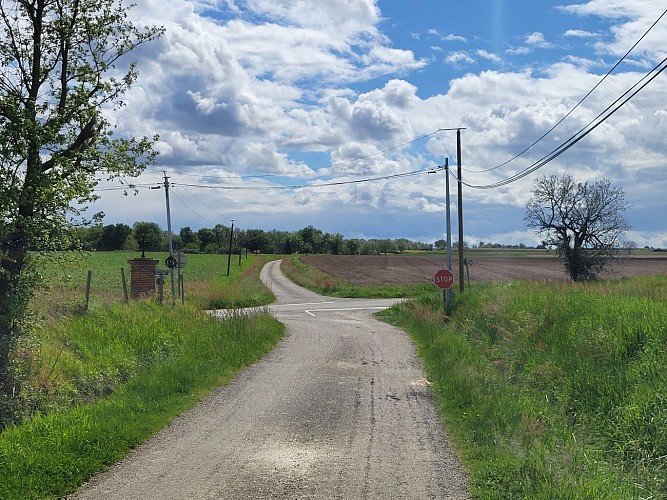 Camin dels Rius at Lafitte