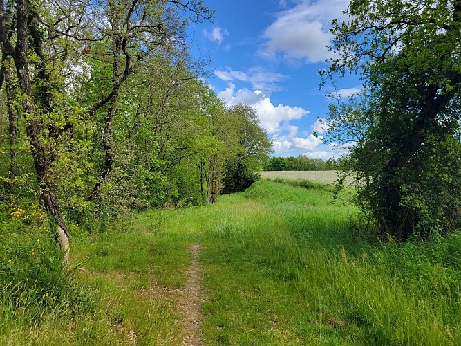 Camin dels rius à Lafitte