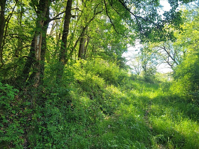 Camin dels rius à Lafitte