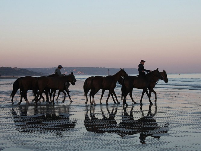 Discover Normandy's horse world by bike - 'Let's get on the saddle...'
