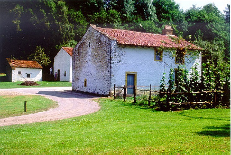 NG23 Promenade de la Diglette - Nassogne - Markierung blaues Kreuz