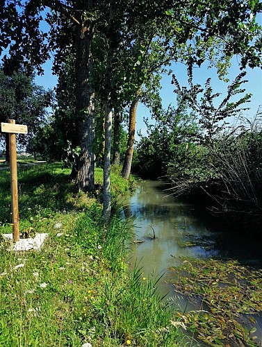 Circuit Saint-Martin