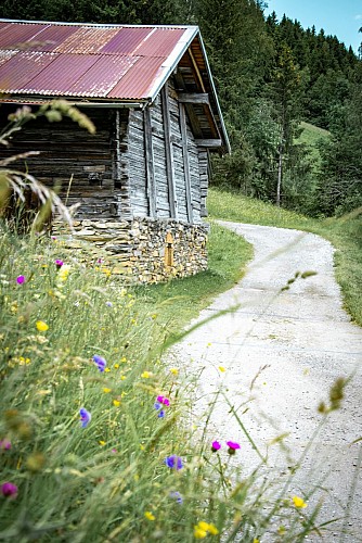 Boucle Le Baptieu, Colombaz, L’Etape_Les Contamines-Montjoie